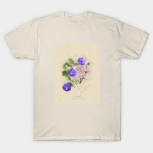 September Flower Birth Month Illustration T-Shirt